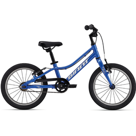 ARX 16 F/W Phoenix Fire !26